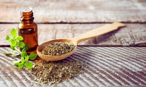 Oregano