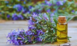 Rosemary